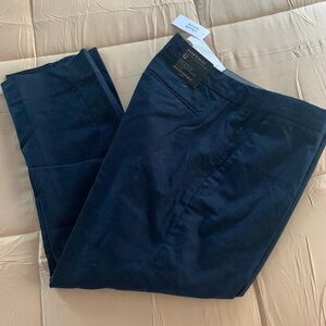 Banana Republic Navy Ankle Pants Women